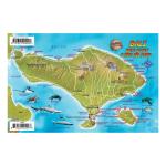 Fish ID Card - Bali