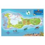 Fish ID Card - Grand Cayman