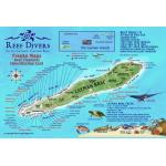 Fish ID Card - Cayman Brac
