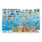 Fish ID Card - Cuba