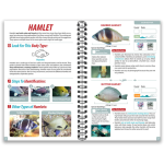Ocean Life Guide