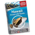 Ocean Life Guide - Hawaii