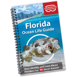 Oceal Life Guide - Florida