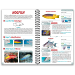 Oceal Life Guide - Florida