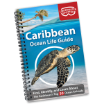 Ocean Life Guide - Caribbean