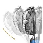 Cressi Itaca Ultra Dry Snorkel