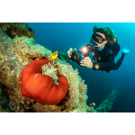 SeaLife Micro 3.0 Underwater Camera