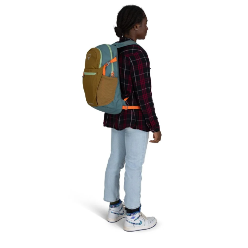 Daylite Plus Earth - Histosol Brown/Cascade Blue