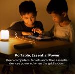 BioLite - Charge 80 PD