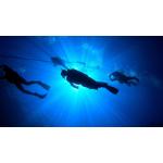 NAUI Specialty Diver Courses