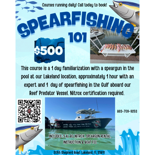 Spearfishing 101