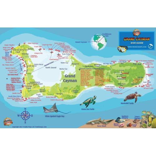 Grand Cayman Fish Card