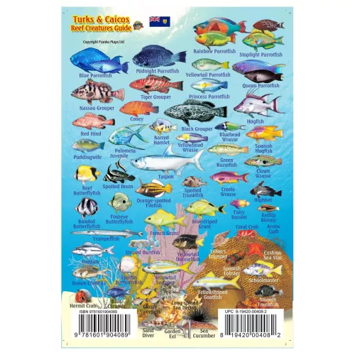 Turks & Caicos Mini Fish Card