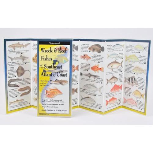 Wreck and Reef Fishes of the Southeast Atlantic Coast