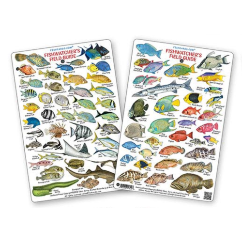 Fishwatchers Field Guide: Fishes of Tropical Atlantic & Caribbean