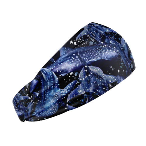 Head Bands WhaleShrk HB
