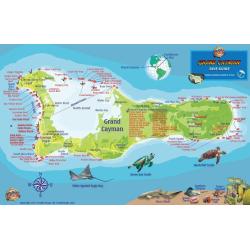Grand Cayman Fish Card