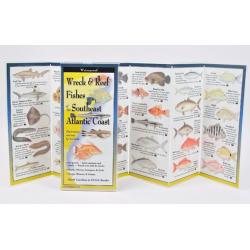 Wreck and Reef Fishes of the Southeast Atlantic Coast