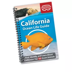 California Ocean Life Guide