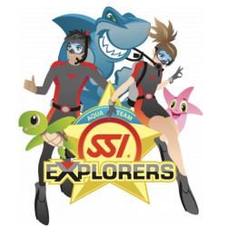 SSI Explorers Manual