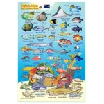 Turks & Caicos Mini Fish Card