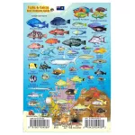 Turks & Caicos Mini Fish Card