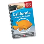California Ocean Life Guide