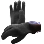 WP Dryglove W/Liner