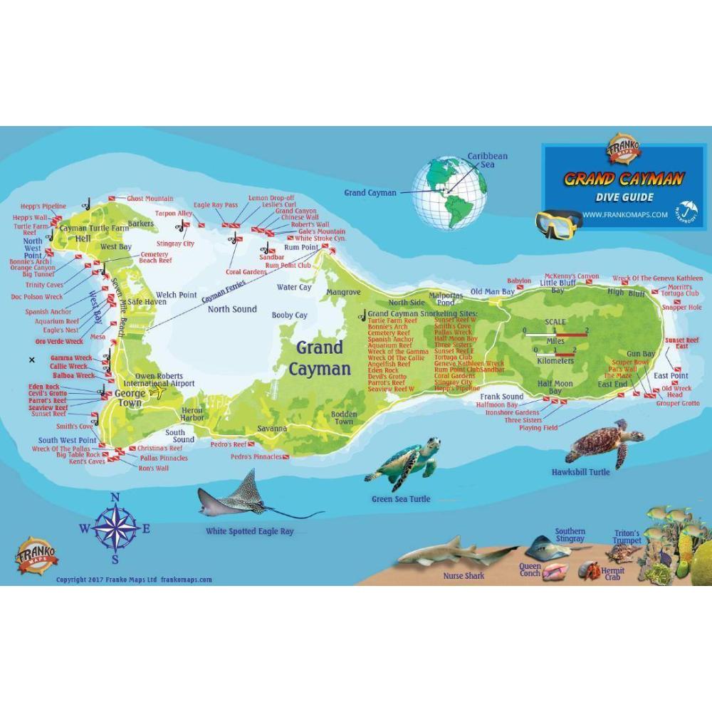 Grand Cayman Fish Card Grand Cayman Fish Card