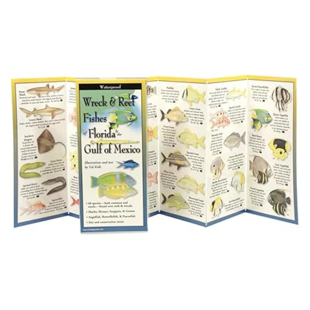 Wreck and Reef Fishes of Florida & the Gulf of Mexico Wreck and Reef Fishes of Florida & the Gulf of Mexico