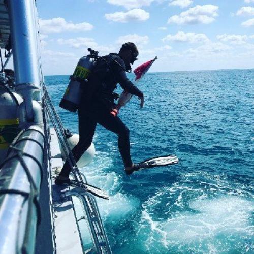 GROUP COURSE OPEN WATER FL