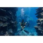 Group SCUBA Experience Deposit