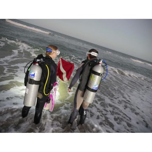 BEACH CONCIERGE DIVE