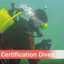 Certification Dives, Each
