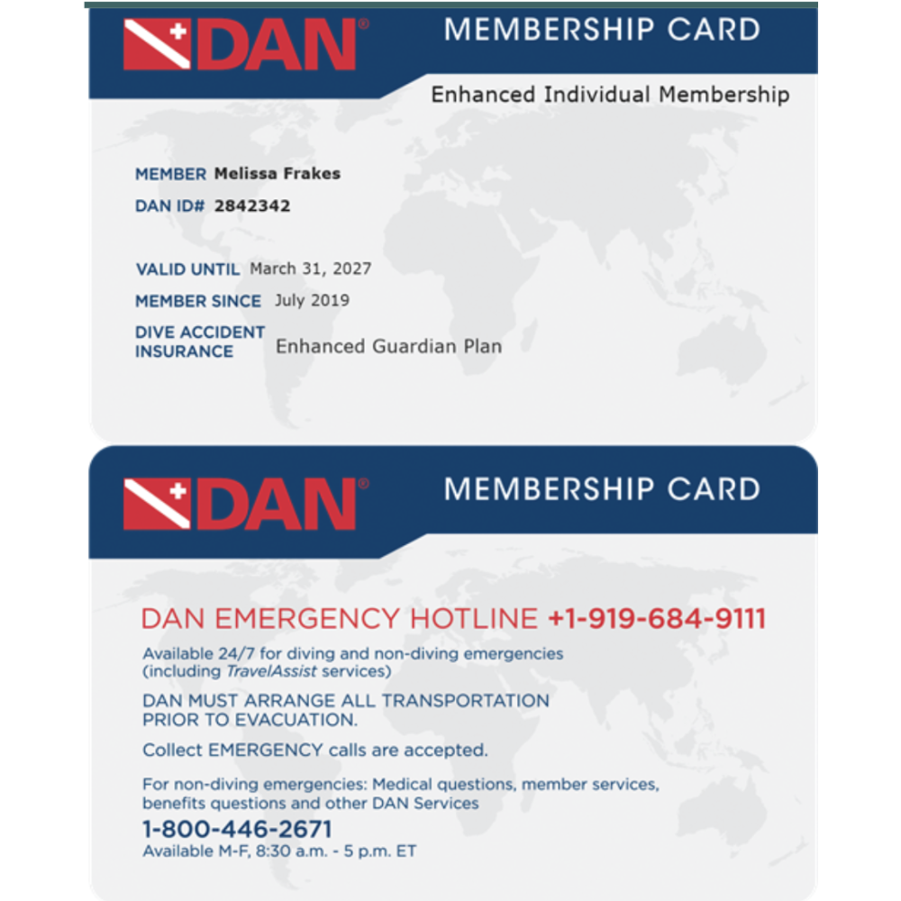 Halcyon Flare EXP+ 2.6 Std Handheld Light