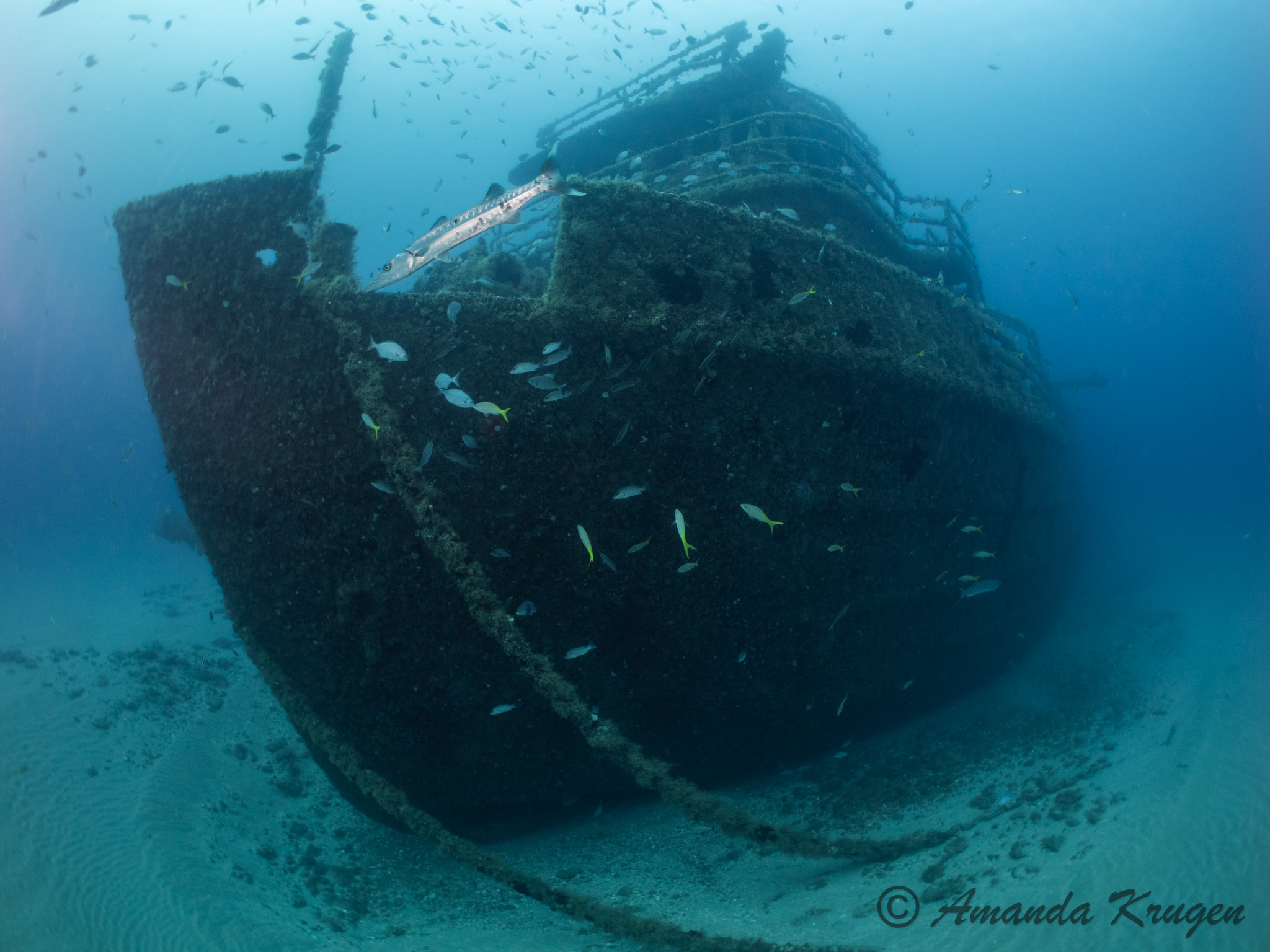 Florida 2026 Dive Trip