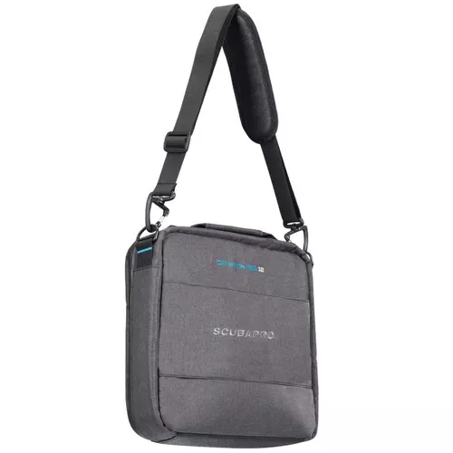 DEFINITION REGULATOR 10 BAG