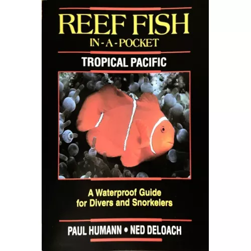 REEF FISH IN-A-POCKET, TROPICAL PACIFIC