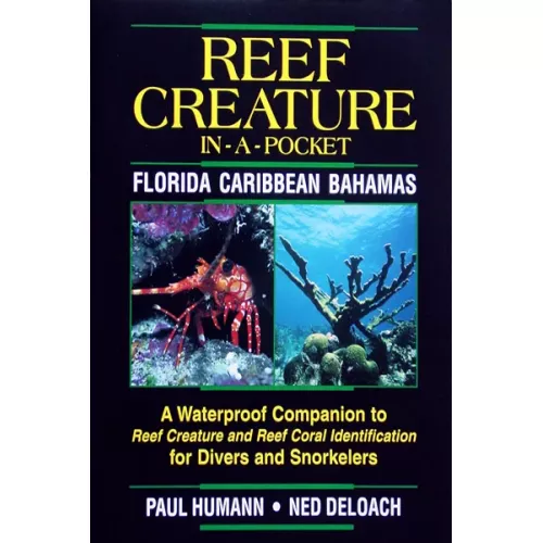 REEF CREATURE IN-A-POCKET, FLORIDA-CARIBBEAN-BAHAMAS