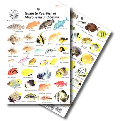 GUIDE TO REEF FISH OF MICRONESIA & GUAM