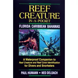 REEF CREATURE IN-A-POCKET, FLORIDA-CARIBBEAN-BAHAMAS