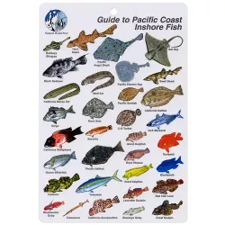 GUIDE TO PACIFIC COAST INSHORE FISH I.D. CARD