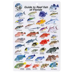GUIDE TO REEF FISH OF FLORIDA I.D. CARD