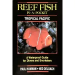 REEF FISH IN-A-POCKET, TROPICAL PACIFIC