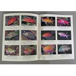 REEF FISH IN-A-POCKET, TROPICAL PACIFIC