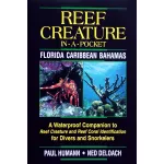 REEF CREATURE IN-A-POCKET, FLORIDA-CARIBBEAN-BAHAMAS
