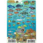 MINI CARIBBEAN REEF CREATURES GUIDE