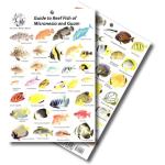 GUIDE TO REEF FISH OF MICRONESIA & GUAM