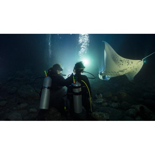 SDI NIGHT/LIMITED VISIBILITY DIVER