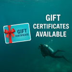 Gift Certificate